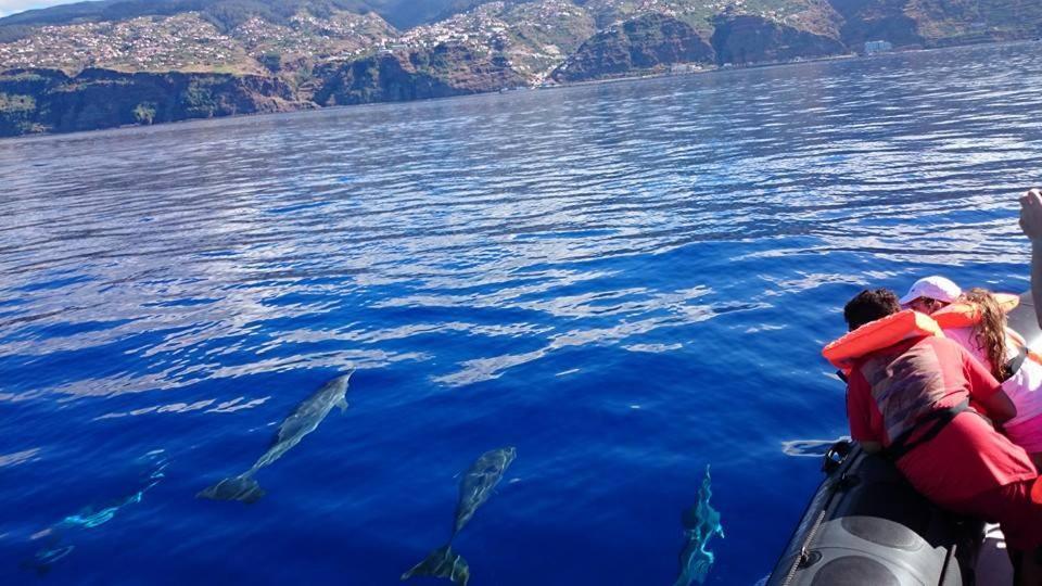 Paul Do Mar By Sea Daire Dış mekan fotoğraf